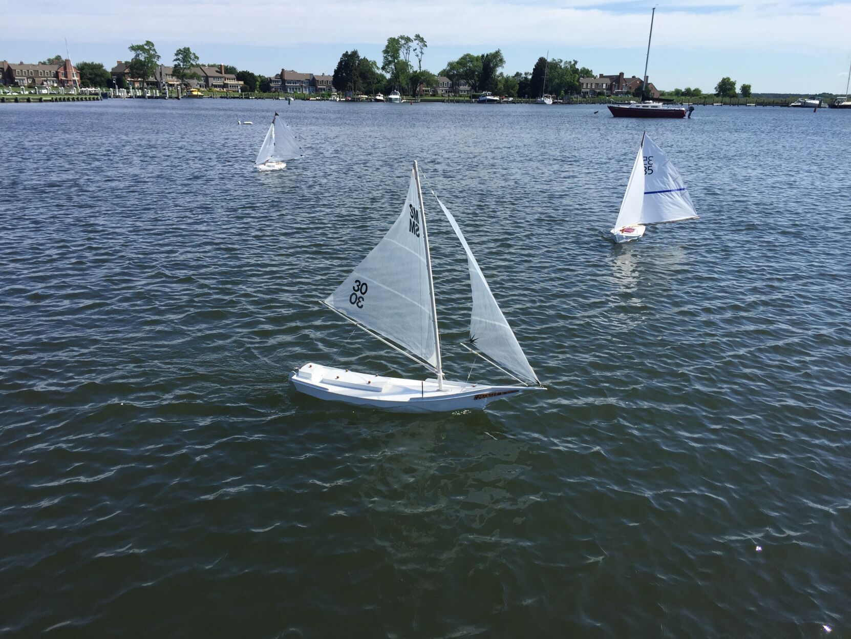skipjack